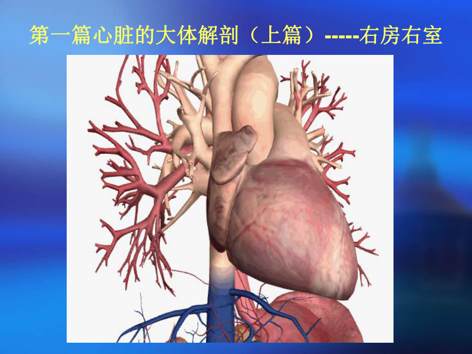 心脏三维解剖分析课件.ppt_第3页