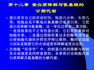 蛋白质降解与氨基酸代谢课件.ppt