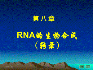 RNA的生物合成.pptx课件.pptx