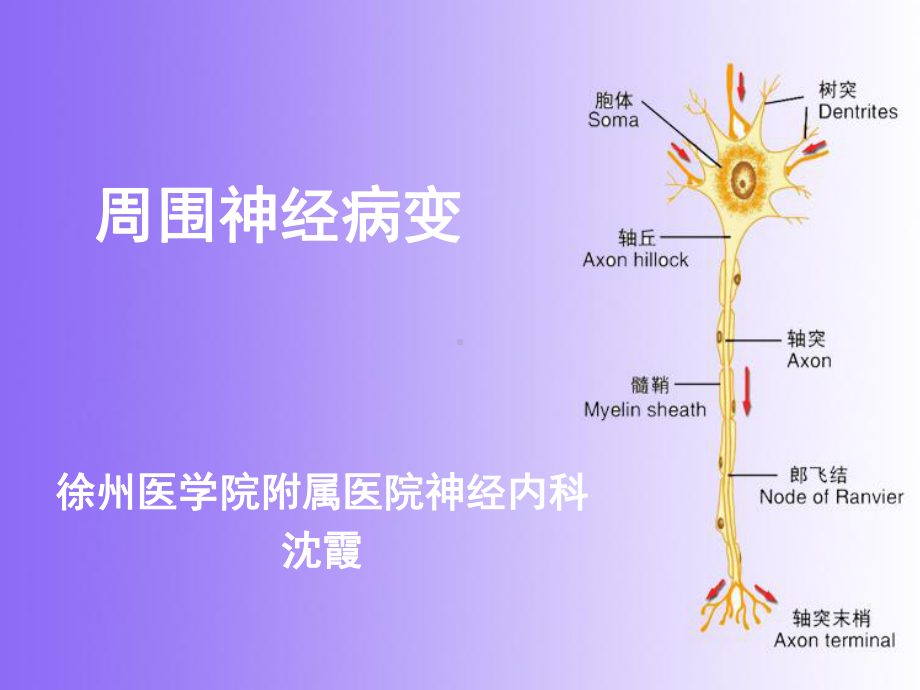 周围神经病变-共101页课件.ppt_第2页