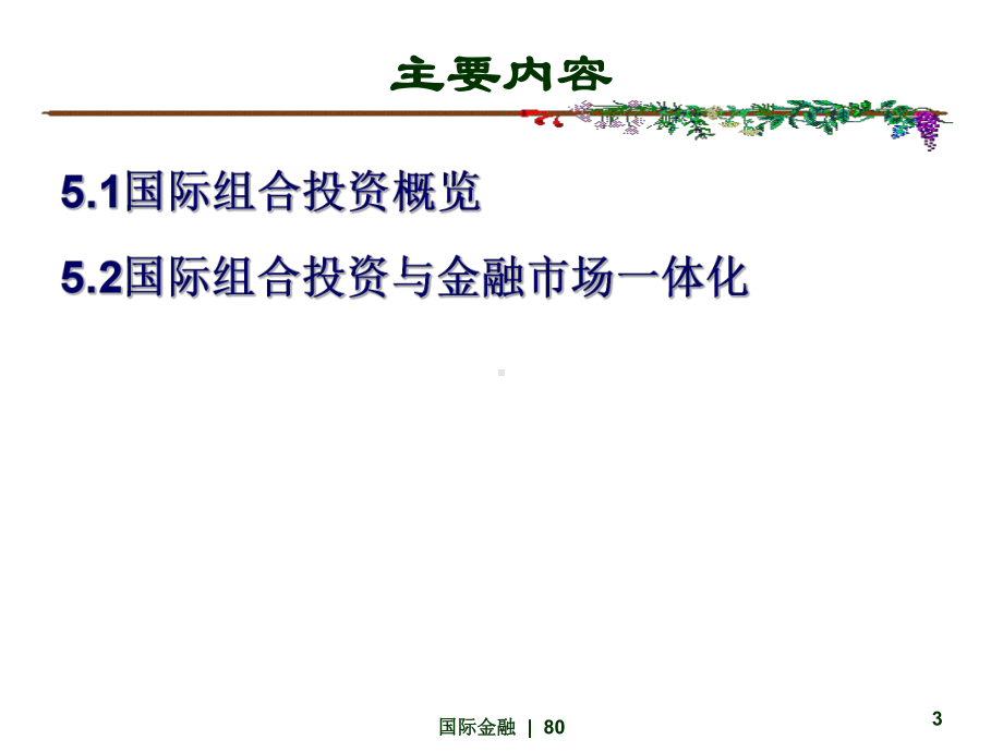 国际金融-国际资产组合投资资料课件.pptx_第3页