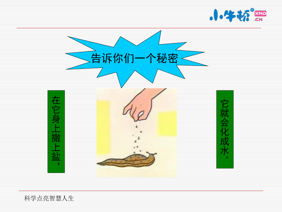 5-11好玩的鼻涕虫手工制作完美版课件.ppt_第3页