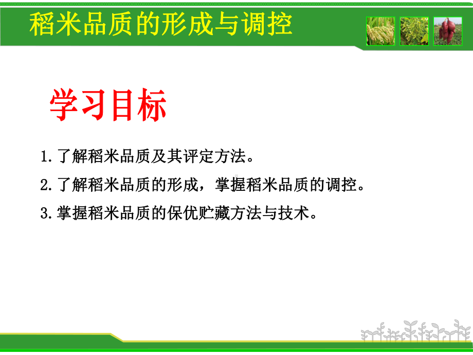 稻米品质的形成与调控课件.ppt_第2页