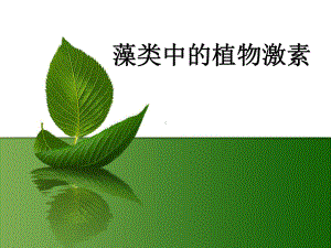 藻类中的植物激素分析课件.ppt