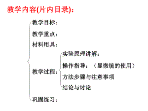 新鲜的黑藻显微镜载玻片课件.ppt