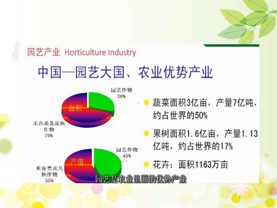 园艺研究总体情况课件.ppt_第3页