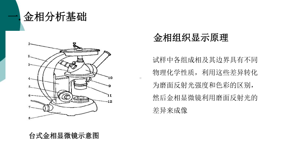 xxx铝合金的微观组织(金相分析)课件.ppt_第3页