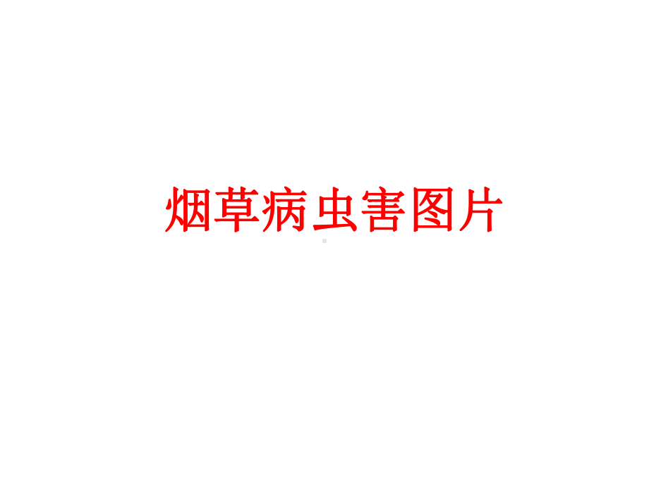 烟草病虫害图片(修改)课件.ppt_第1页