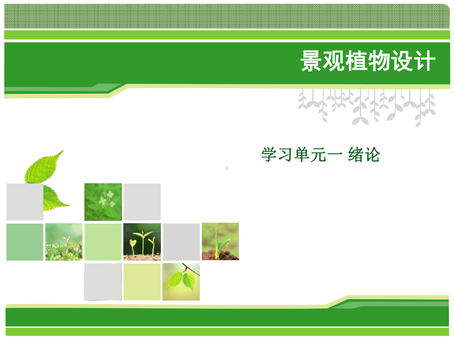 植物景观与设计课件.ppt_第1页