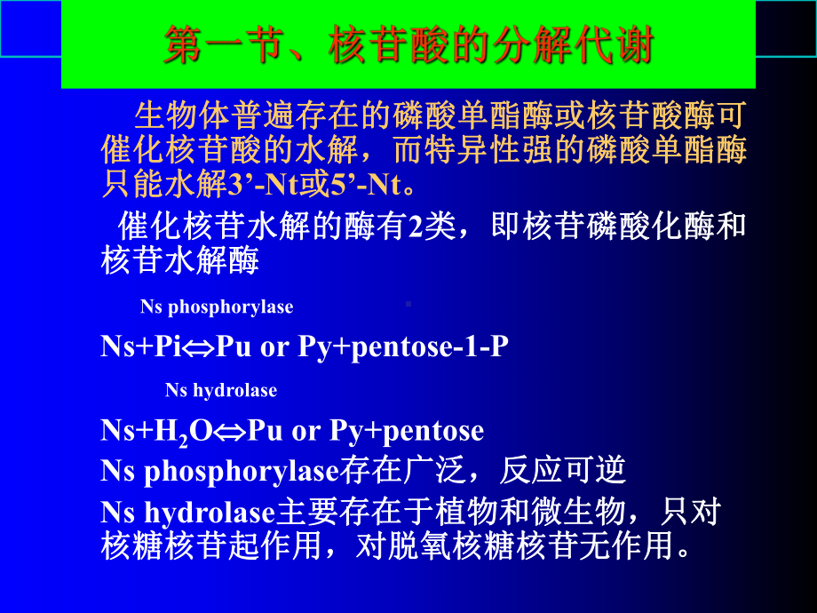 生物化学核酸分解代谢课件.ppt_第2页