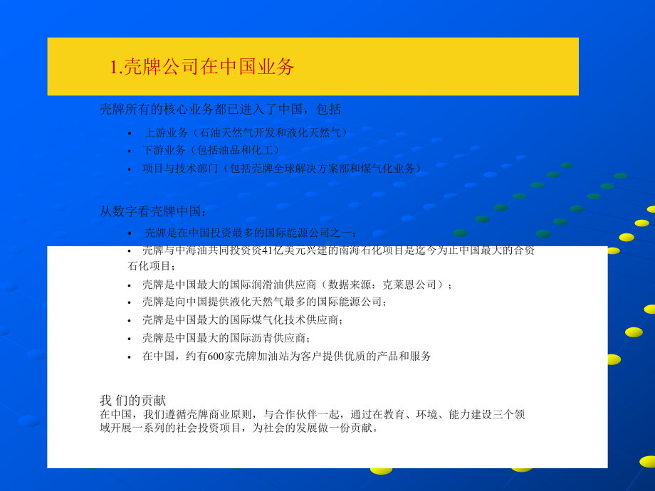 壳牌公司HSSE管理体系课件.ppt_第3页