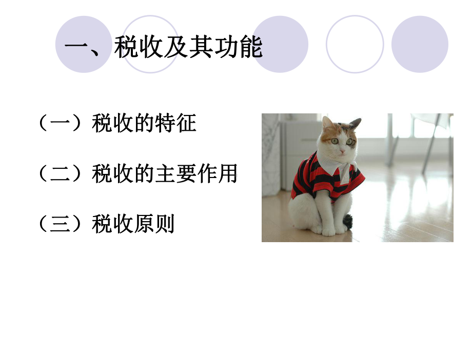 税收基础知识与税收体系课件.ppt_第3页