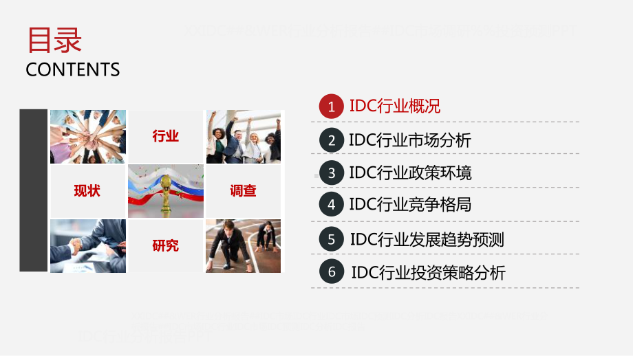 IDC行业市场调研分析报告课件.pptx_第2页