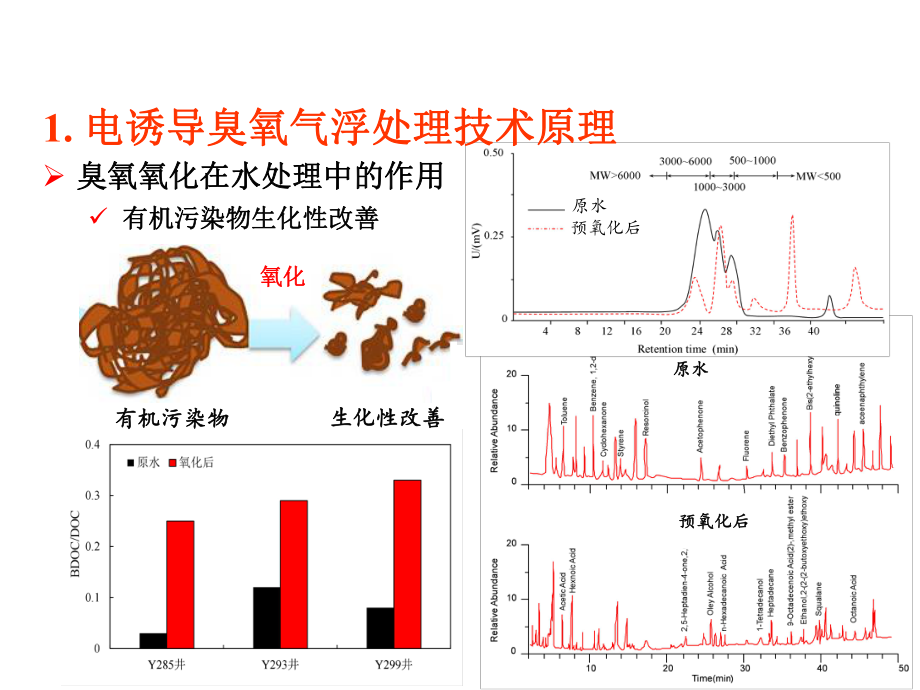 电诱导臭氧气浮处理技术原理课件.ppt_第3页