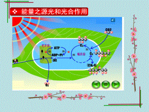 光照强度和二氧化碳浓度课件.ppt