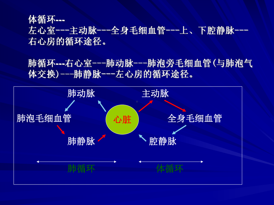 动物生理学—血液循环.课件.ppt_第2页