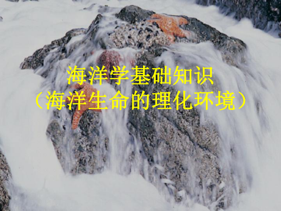 海洋生物学基础知识课件.ppt_第1页