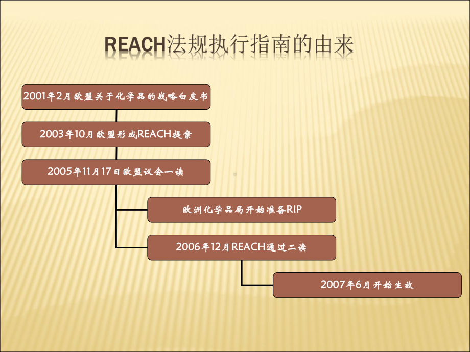 2020年欧盟REACH法规简介(很全面)参照模板课件.pptx_第2页