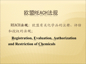 2020年欧盟REACH法规简介(很全面)参照模板课件.pptx