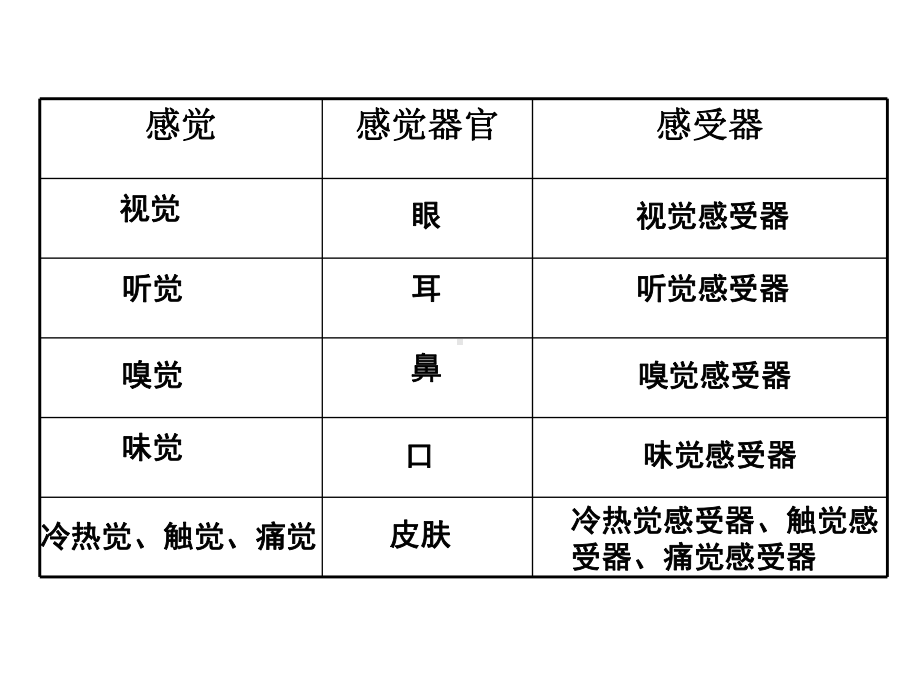 人体的感觉课件.pptx_第3页