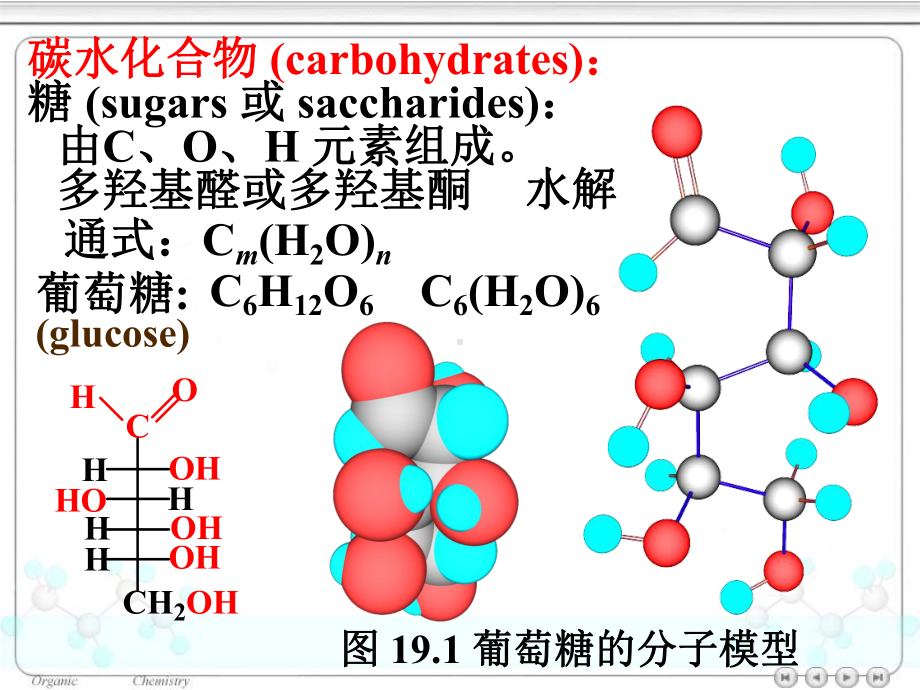 19-碳水化合物课件.ppt_第3页