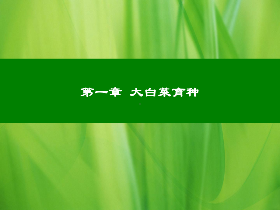 第一章-大白菜育种分析课件.ppt_第1页