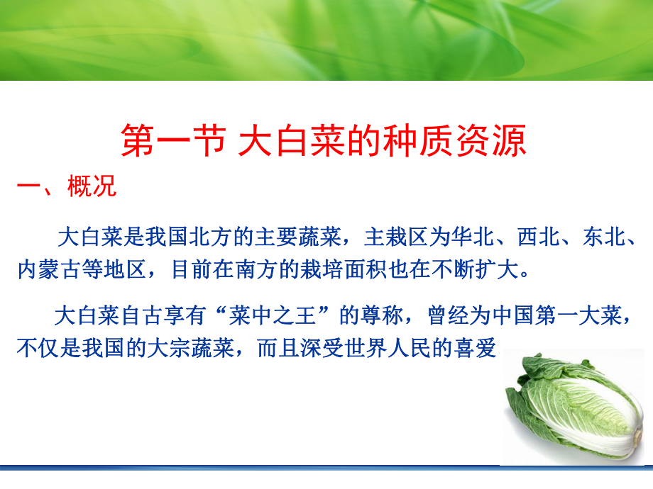 第一章-大白菜育种分析课件.ppt_第2页