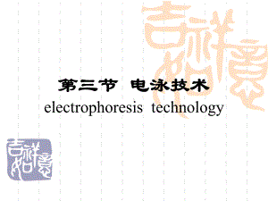 电泳技术课件.ppt