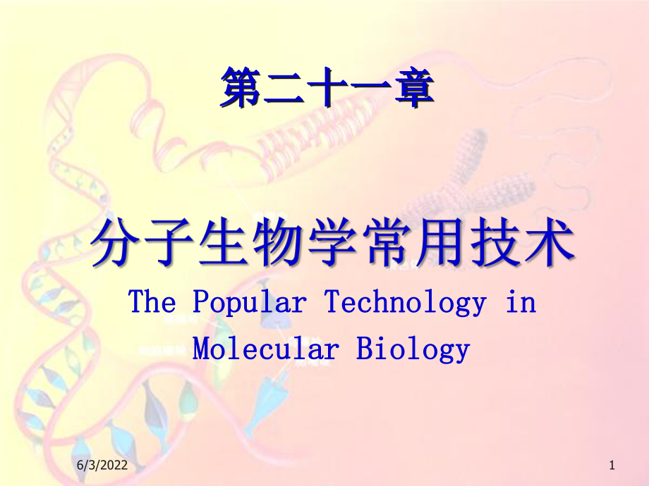 分子生物学常用技术课件.pptx_第1页