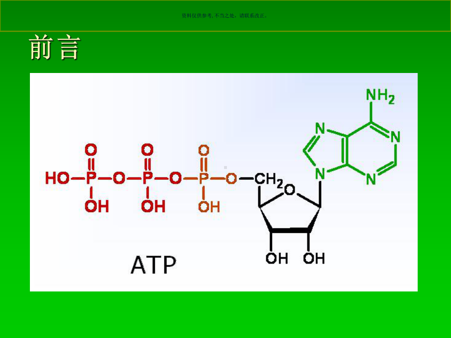 运动时物质和能量代谢课件.ppt_第3页