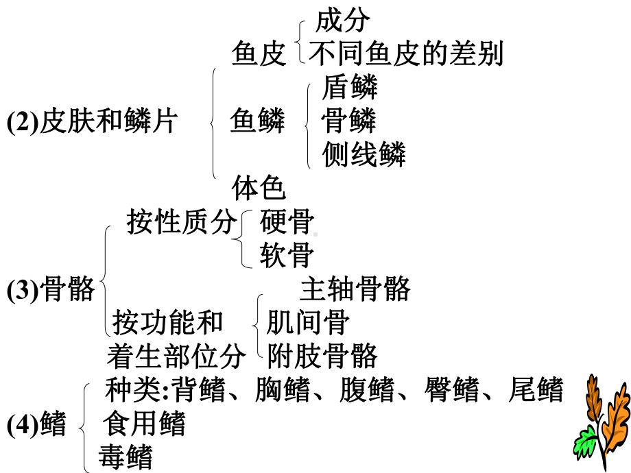 食品原料学第六章水产品课件.ppt_第2页