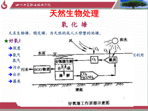 曝气设备与曝气池的构造课件.ppt