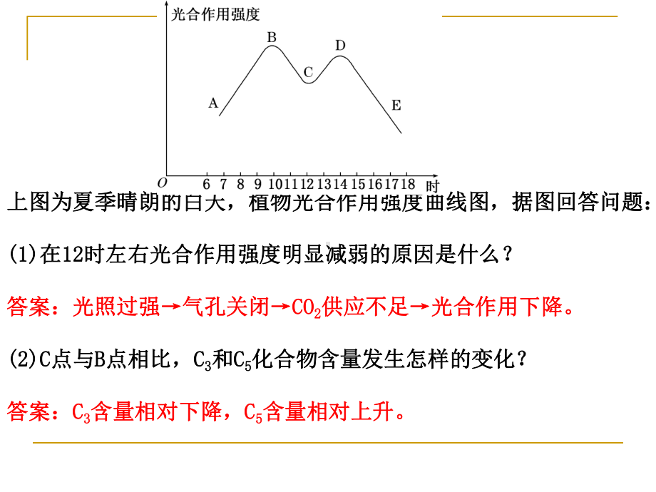 光合作用中的图形分析课件.ppt_第1页