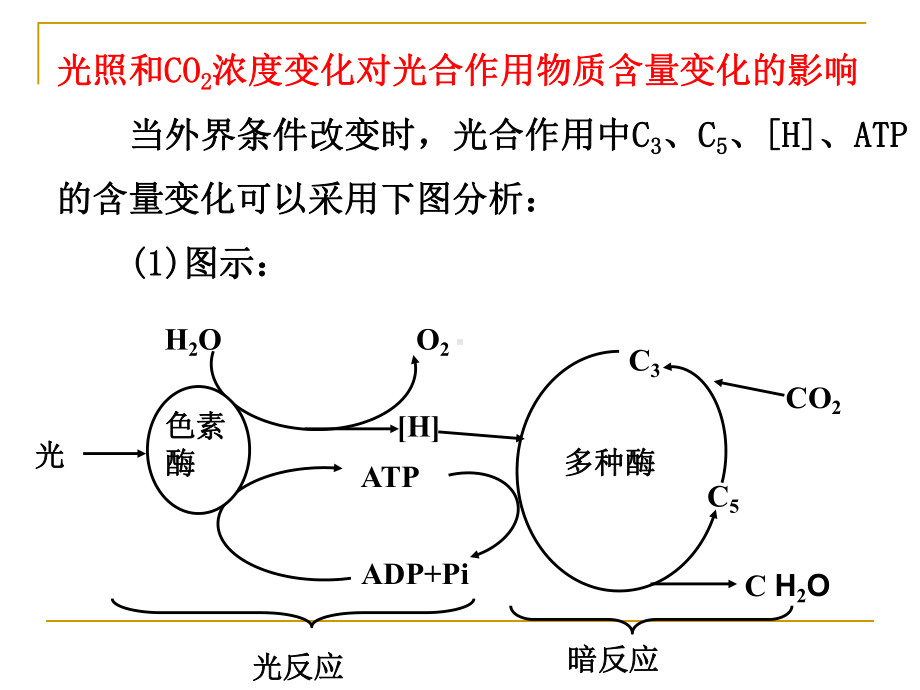 光合作用中的图形分析课件.ppt_第3页