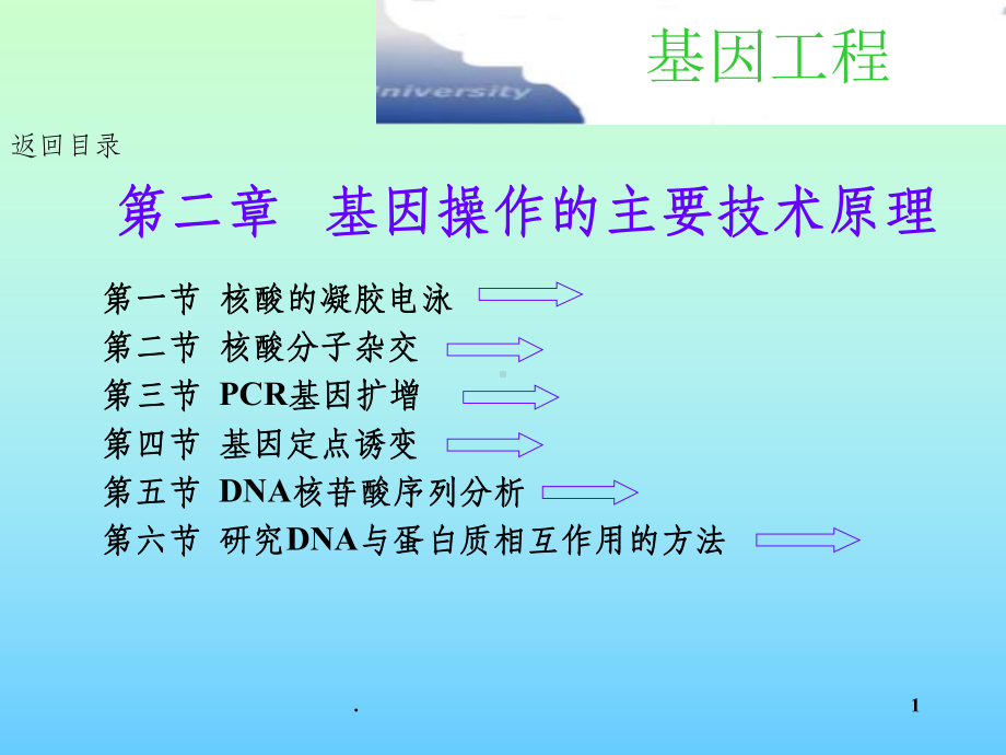 第二章基因工程主要技术原理-电泳、杂交课件.ppt_第1页