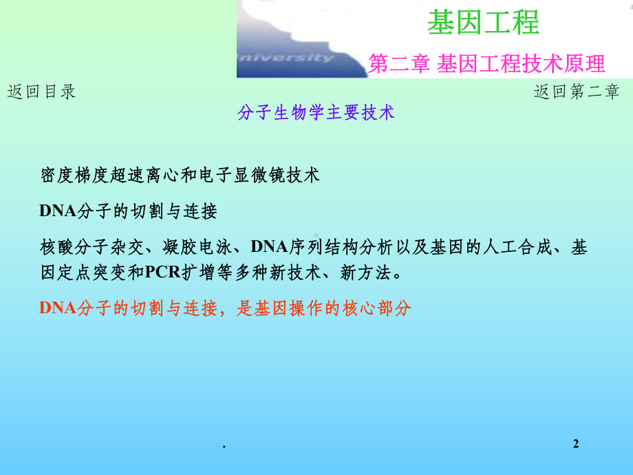 第二章基因工程主要技术原理-电泳、杂交课件.ppt_第2页