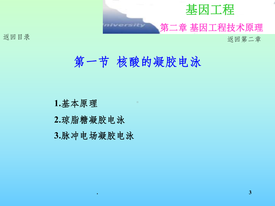 第二章基因工程主要技术原理-电泳、杂交课件.ppt_第3页