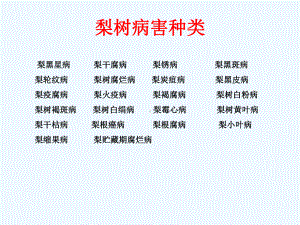 梨树病虫害防治课件.ppt