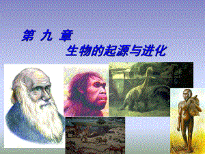 上海交通大学普通生物学第9章：生物的起源与进化课件.ppt