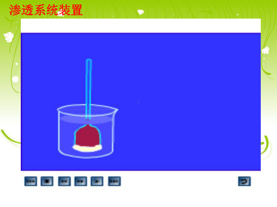 物质跨膜运输的实例-优质课-(凤)课件.ppt_第2页