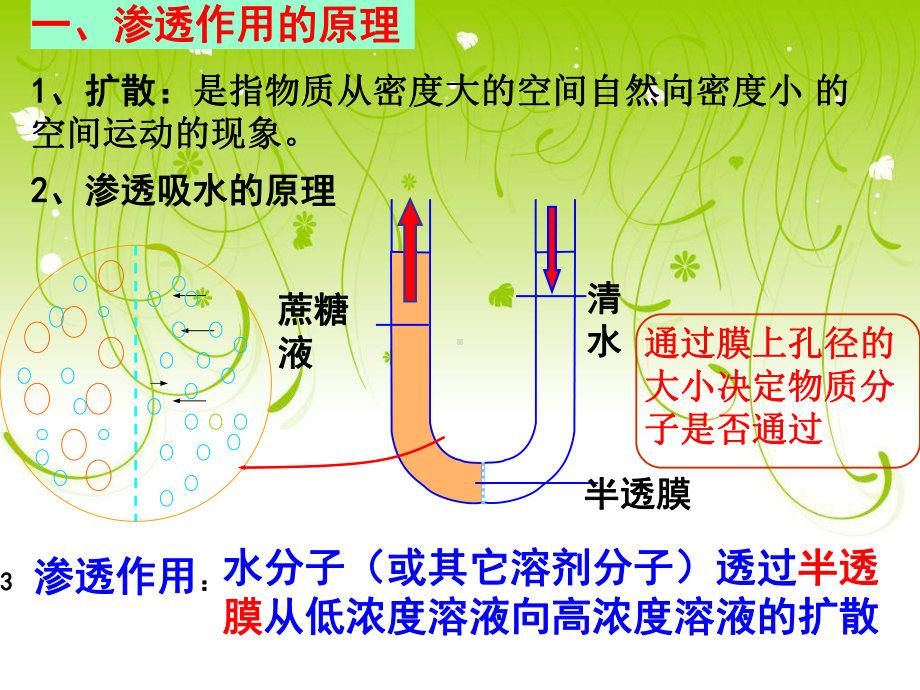 物质跨膜运输的实例-优质课-(凤)课件.ppt_第3页