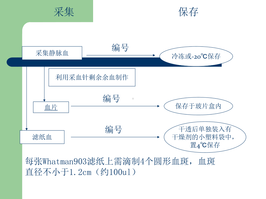 标本采集与运输要求课件.ppt_第3页