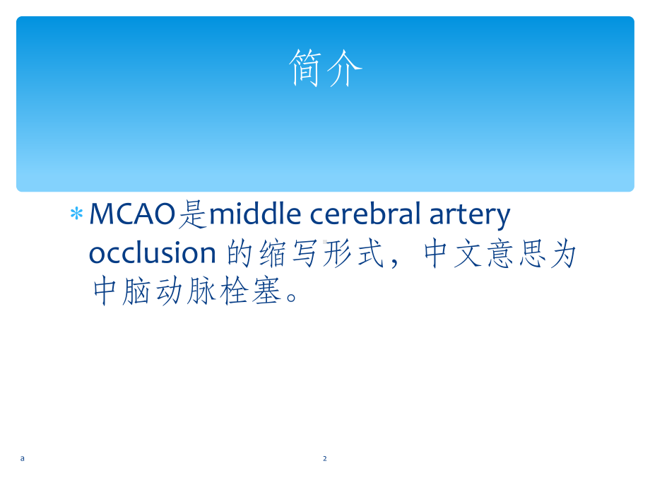 MCAO模型课件.ppt_第2页