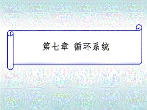 人体解剖生理学-第七章-循环系统81页PPT课件.ppt