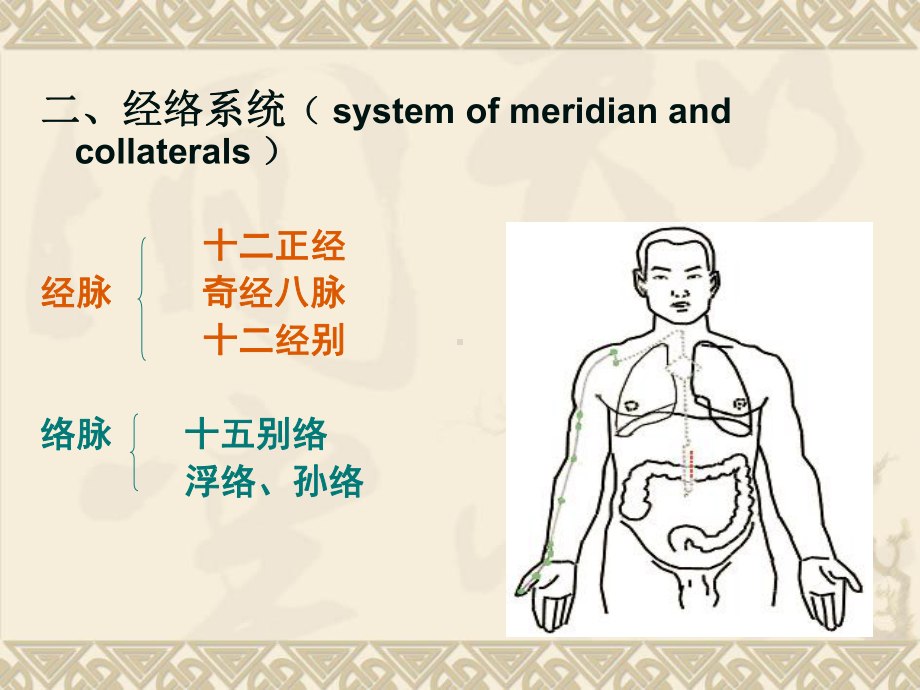 保健按摩基础—经络学说课件.ppt_第3页