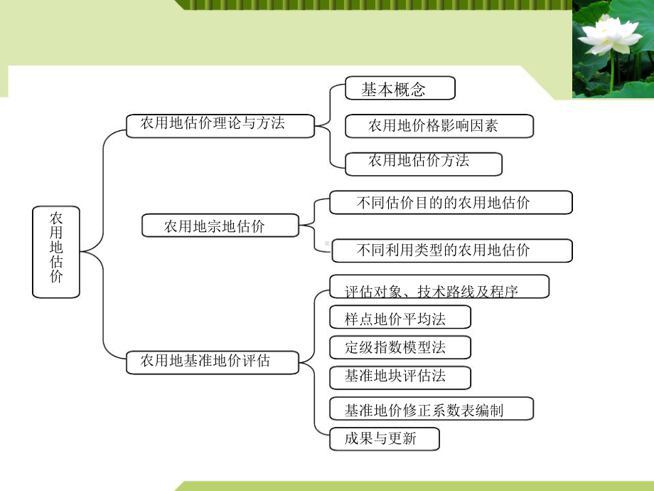 农用地估价技术及案例课件.ppt_第3页