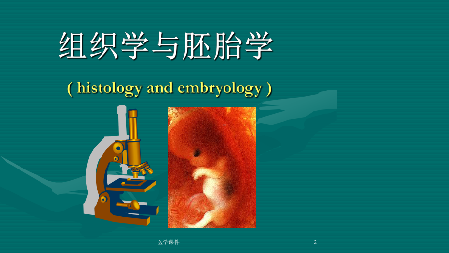 组织胚胎学第一章绪论课件.ppt_第2页