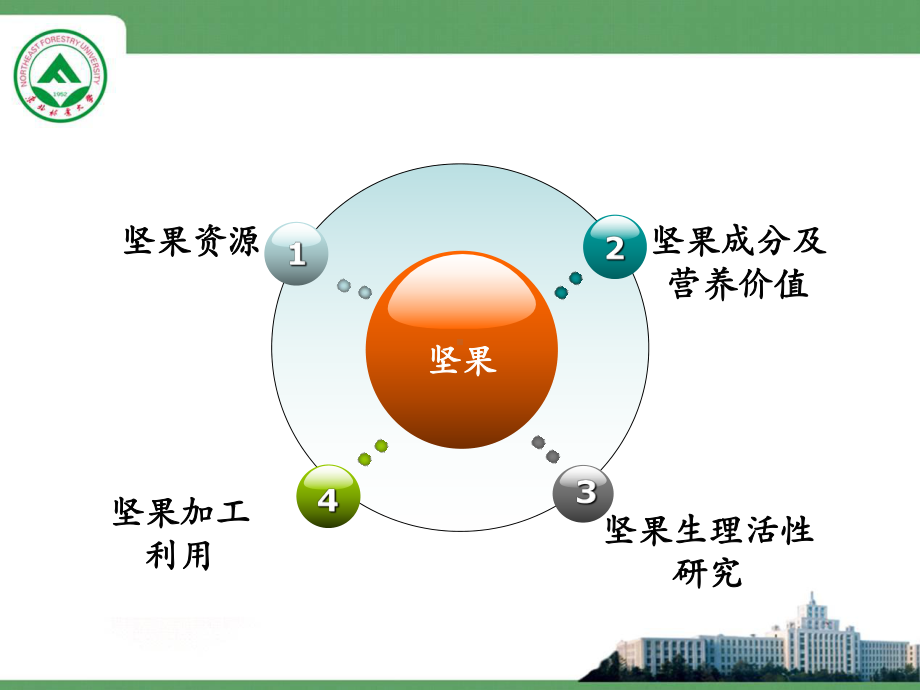 坚果资源及其加工利用课件.ppt_第2页