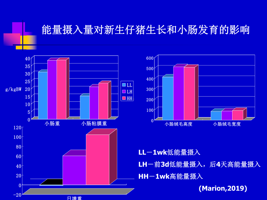 仔猪营养研究进展78页PPT课件.ppt_第3页