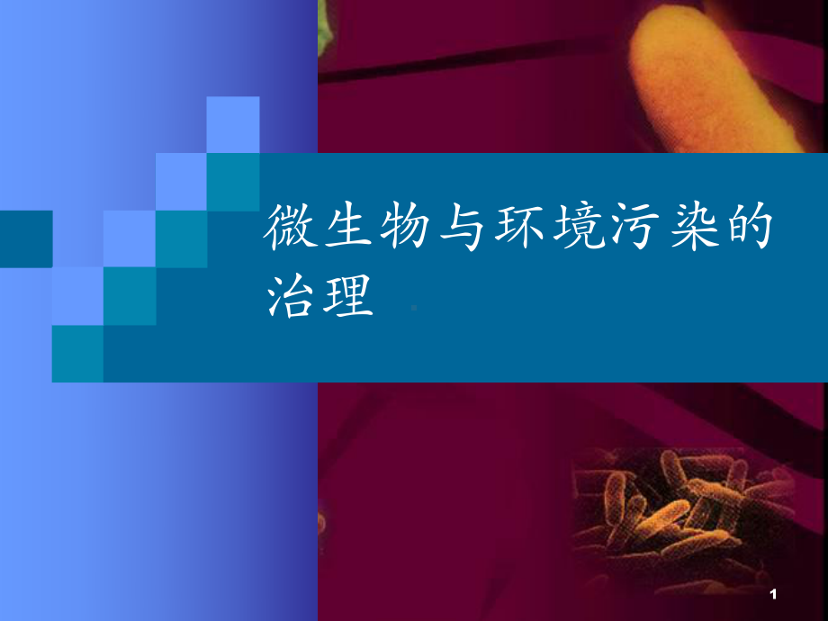 微生物与环境污染的治理课件.ppt_第1页